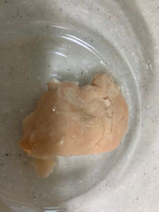 도그퓨어 푸드닭 강아지 닭고기 통살 애견간식 오리지널/차전자피/초록입홍합 — 5점을 준 리뷰어가 2021년 11월 올린 사용 사진