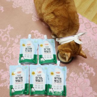 안젤라mj님이 올린 리뷰 사진 1