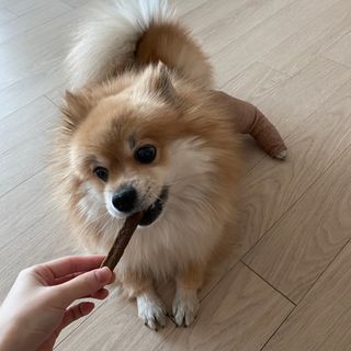 My Pet Care 천연단백질 치아건강에 개좋아 — 5점을 준 리뷰어가 2020년 12월 올린 사용 사진