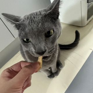 jeongee님이 올린 리뷰 사진 2
