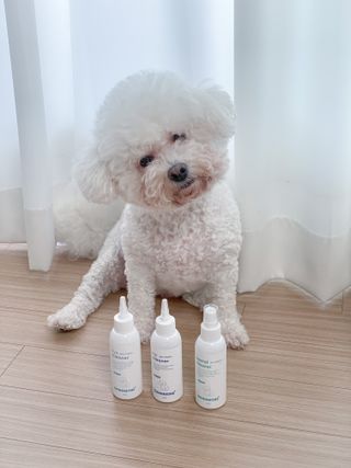 [댕모어 클리너 3종] 아이클리너 / 이어클리너 / 덴탈클리너 3종 세트 (120ml) — 5점을 준 리뷰어가 2023년 8월 올린 사용 사진