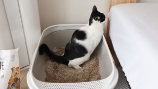 manu님이 올린 리뷰 사진 3