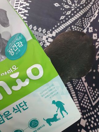 땡자엄마님이 올린 리뷰 사진 2