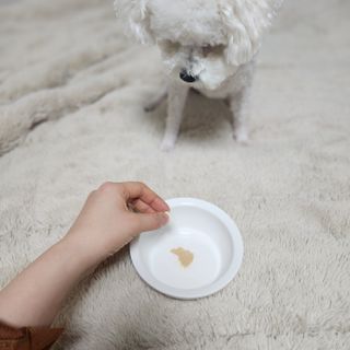 리애나님이 올린 리뷰 사진 2