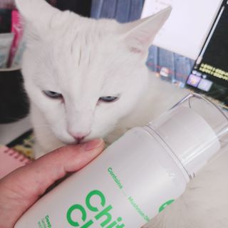 whol 키토클린 200ml - 항균항바이러스 강아지 눈 코 입 귀 세정탈취 고양이 턱드름제거 무향 워터리스 대용량 — 5점을 준 리뷰어가 2022년 10월 올린 사용 사진