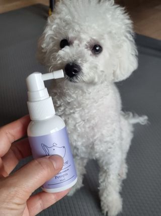 아공별이님이 올린 리뷰 사진 2