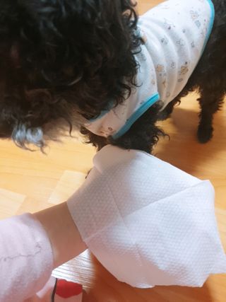 lovely탱님이 올린 리뷰 사진 1