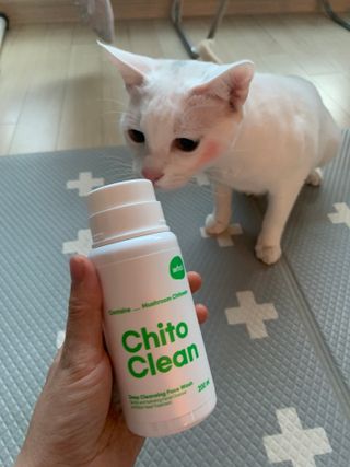 whol 키토클린 200ml - 항균항바이러스 강아지 눈 코 입 귀 세정탈취 고양이 턱드름제거 무향 워터리스 대용량 — 4점을 준 리뷰어가 2023년 2월 올린 사용 사진
