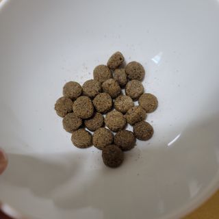 meang님이 올린 리뷰 사진 2