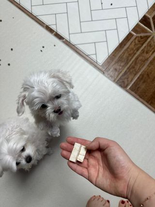 돌돌이야님이 올린 리뷰 사진 2