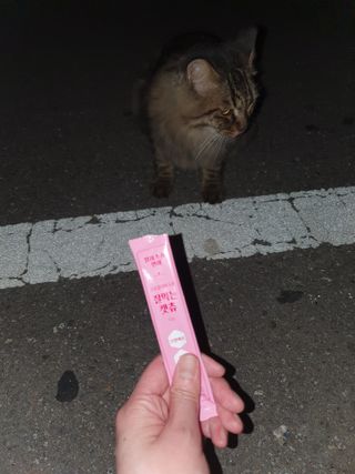 탱탱볼님이 올린 리뷰 사진 1