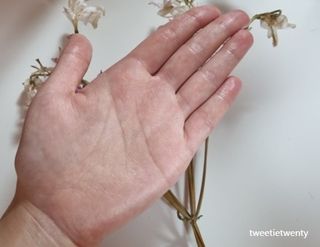 트위티한하루 tweetietwenty님이 올린 리뷰 사진 4