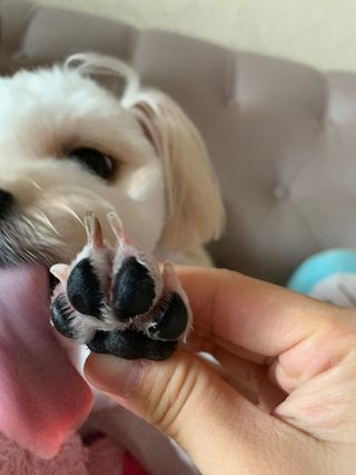 Jeva님이 올린 리뷰 사진 1