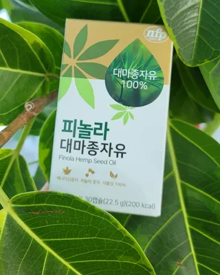 nfp 피놀라 대마종자유 — 5점을 준 리뷰어가 2021년 8월 올린 사용 사진