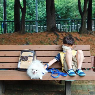 담콩이님이 올린 리뷰 사진 1