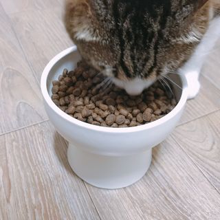 Hpy님이 올린 리뷰 사진 3