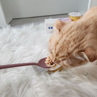 쭌뭉님이 올린 리뷰 사진 3