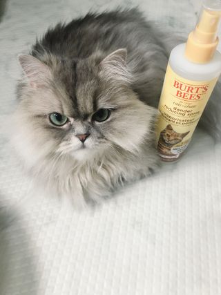 꼬끼오님이 올린 리뷰 사진 3
