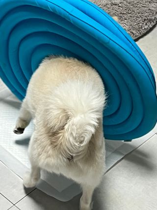 여름님이 올린 리뷰 사진 4