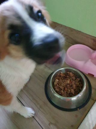 이쁜정똥이님이 올린 리뷰 사진 2
