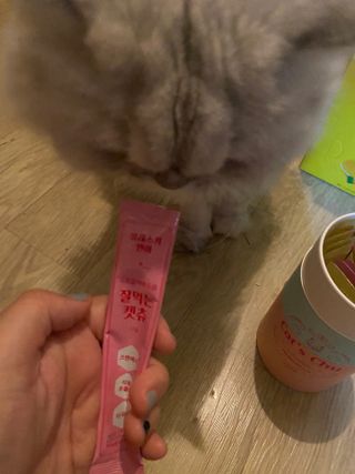 페페로니 잘 먹는 캣츄 - 무항생제 닭고기 12개 + 알래스카 연어 12개 — 5점을 준 리뷰어가 2021년 8월 올린 사용 사진