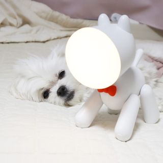 송린깡님이 올린 리뷰 사진 1