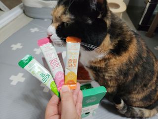 솔탄이love님이 올린 리뷰 사진 1