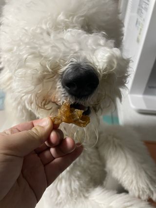 초코에몽님이 올린 리뷰 사진 3