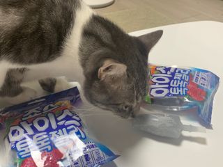 랑돌희네님이 올린 리뷰 사진 3