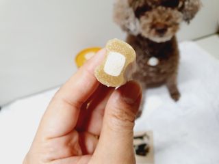 달콤오기님이 올린 리뷰 사진 3