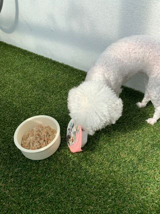 큐티윤님이 올린 리뷰 사진 4