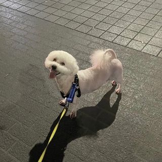융투님이 올린 리뷰 사진 1