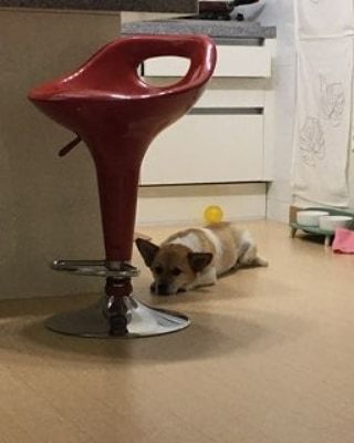 김도영님이 올린 리뷰 사진 3