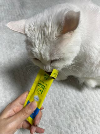 페페로니 맛있는 스틱 - 무항생제 닭고기 15개 + 원양선 참치 15개 — 5점을 준 리뷰어가 2021년 9월 올린 사용 사진