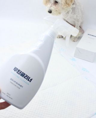 구름님이 올린 리뷰 사진 2