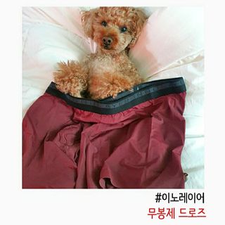 이노레이어 무봉제드로즈_일반형 — 5점을 준 리뷰어가 2021년 3월 올린 사용 사진