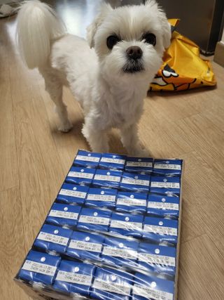 뽀오오옹님이 올린 리뷰 사진 3