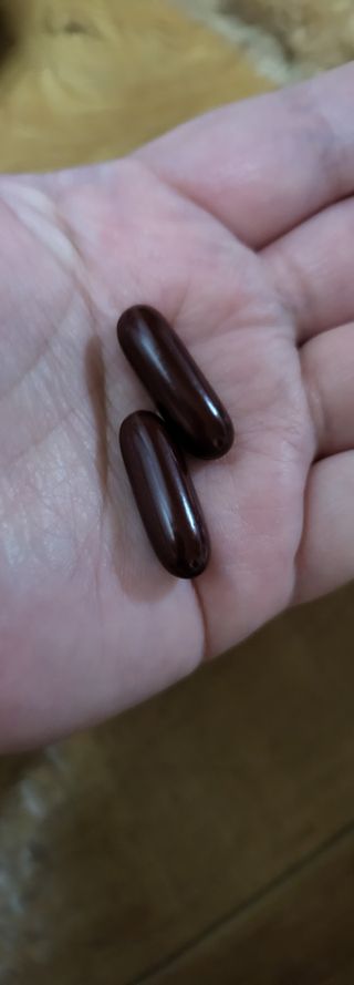 라엘 밸런스 3종 (질 건강 리스펙타 프로바이오틱스, 월경케어 보라지유, 요로건강 크랜베리) 랜덤 증정 1개 — 5점을 준 리뷰어가 2022년 12월 올린 사용 사진