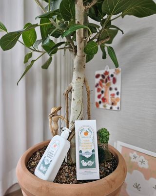 까꿍님이 올린 리뷰 사진 1