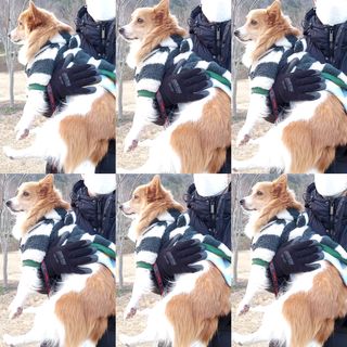 림림님이 올린 리뷰 사진 3