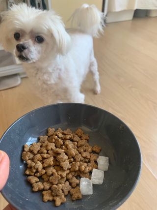 ZiunYang님이 올린 리뷰 사진 2