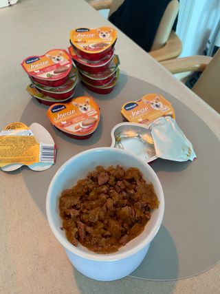 비타크래프트 조에시 하트캔 85g 강아지 습식캔 10캔 — 5점을 준 리뷰어가 2021년 7월 올린 사용 사진