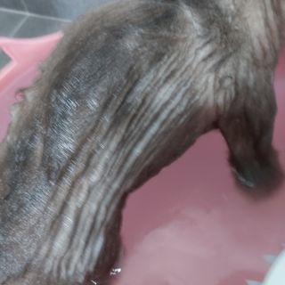 복도리님이 올린 리뷰 사진 3