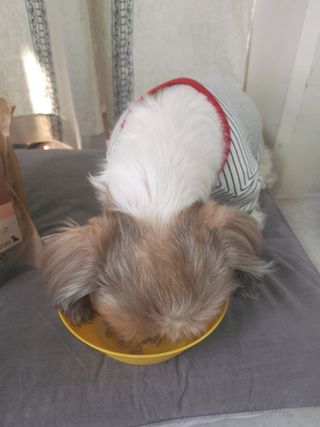 민우다빈이맘님이 올린 리뷰 사진 4