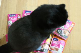 비타크래프트 포에시 델리스 고양이 파우치 85g 9가지맛 1팩씩 — 5점을 준 리뷰어가 2021년 8월 올린 사용 사진