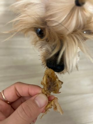 영이님이 올린 리뷰 사진 4