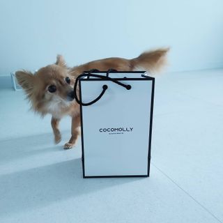 Rushx님이 올린 리뷰 사진 3