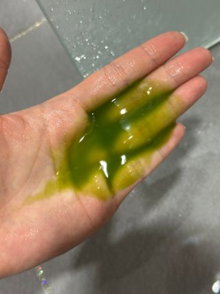 예나님이 올린 리뷰 사진 1