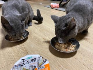뚜덩맘님이 올린 리뷰 사진 1