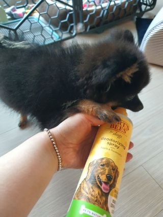 뚜뚜님이 올린 리뷰 사진 2